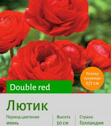  Лютик (Ranunculus) Double red
